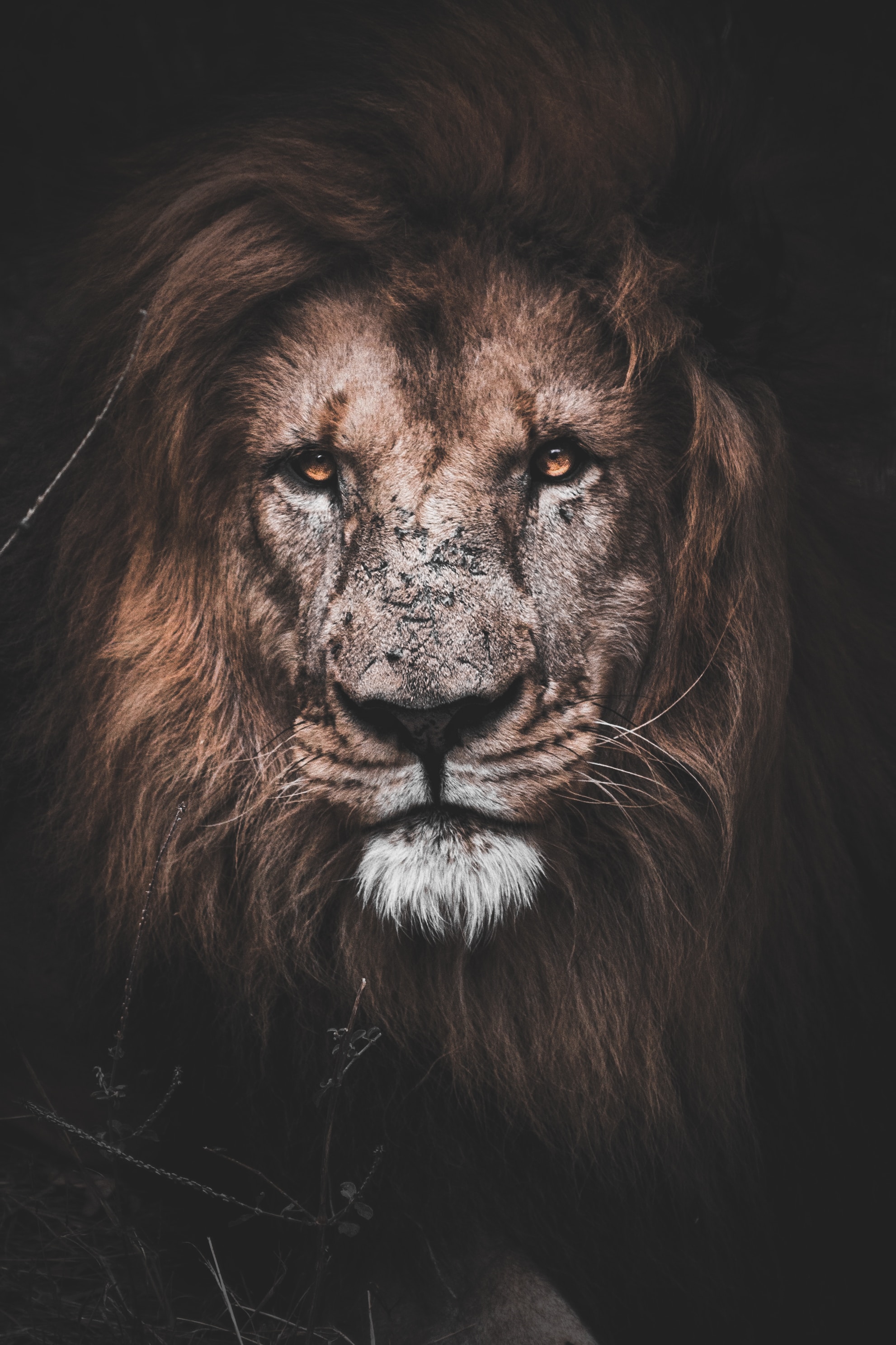 /ami/tl-vikunja/raw/commit/d82f377f9472dc7376479cdedd8202f78e6a5d30/cypress/fixtures/image.jpg
